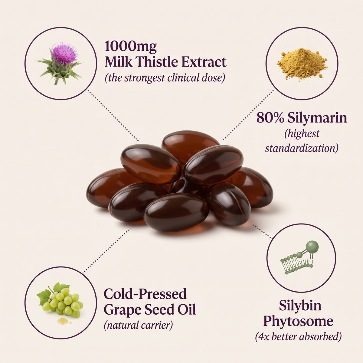 Milk Thistle Extract